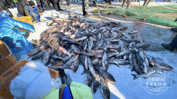 IMG_6266.jpg IMG_6266.jpg