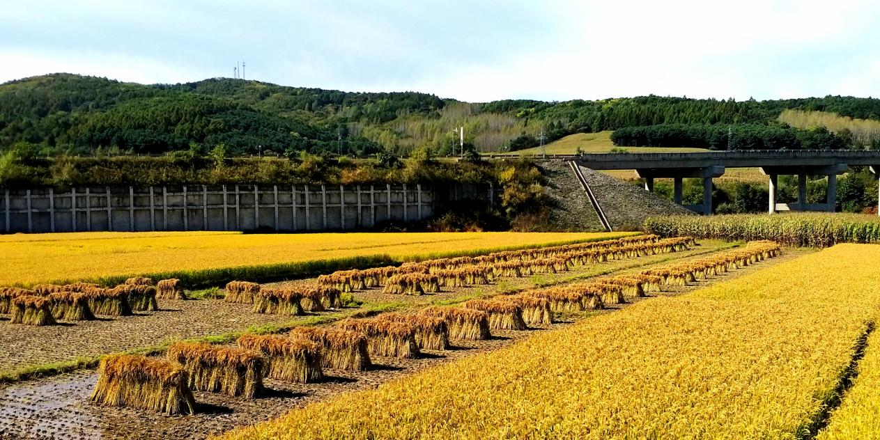 微信图片_2025-10-15_132800_824.png 微信图片_2025-10-15_132800_824.png