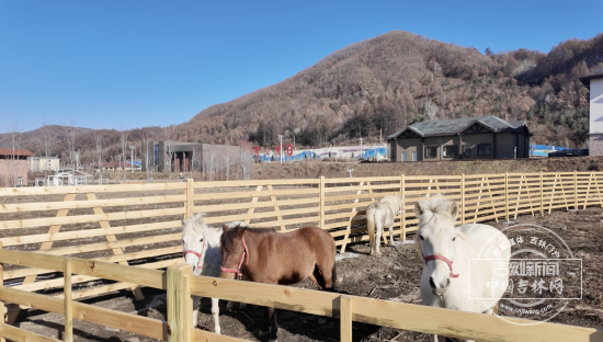 截屏2025-11-22 15.16.56.png 截屏2025-11-22 15.16.56.png